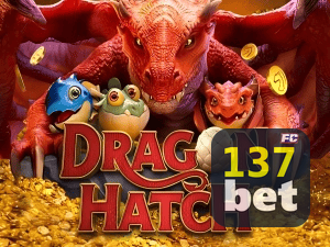 137BET PIX instantâneo Brasil - Depósito e saque em minutos 24/7